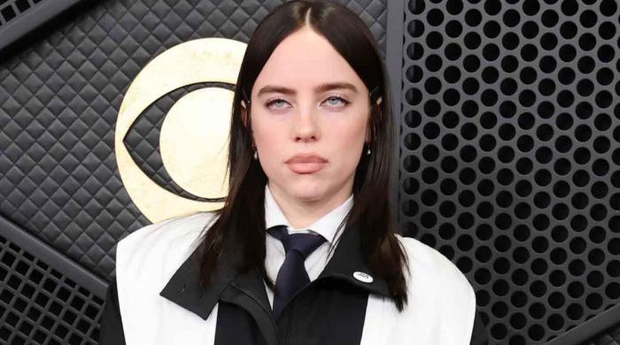 Billie Eilish criticized by 'other' Epstein over 'stolen land' remarks