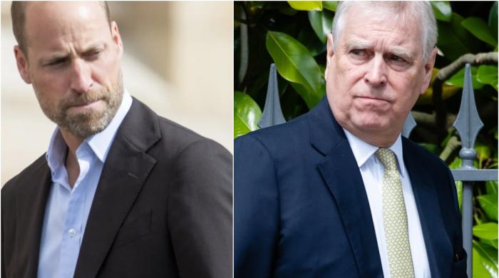 Andrew Mountbatten-Windsor’s friendship with a child sex offender turns his future murkier