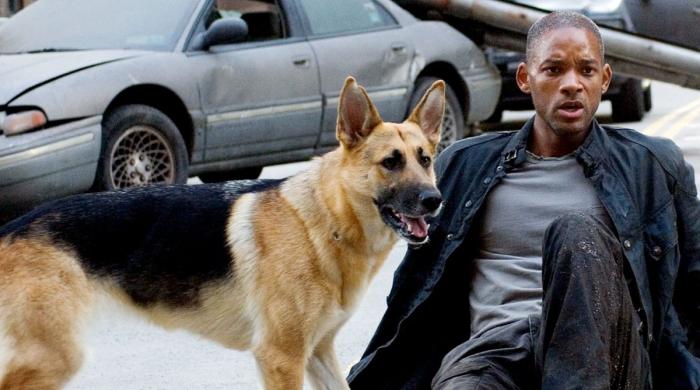 Will Smith couldn't make this dog part of his family: Here's why