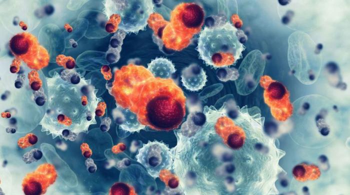 Prevent cancer with these simple lifestyle changes