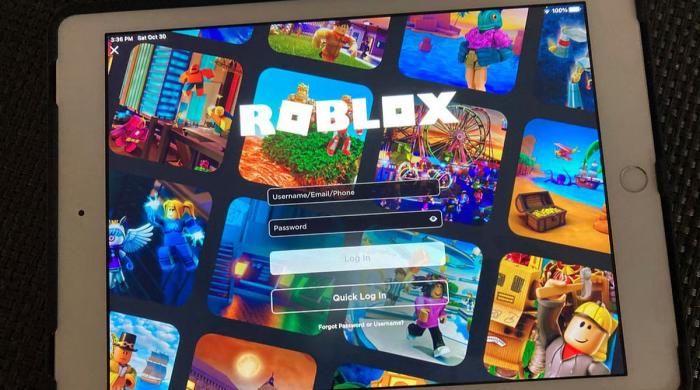 Roblox blocked in Egypt sparks debate over child safety and digital access  
