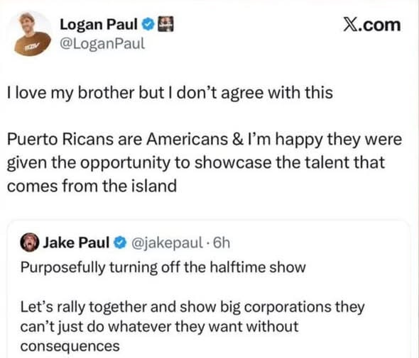 Logan Pauls bodyguard hits fan on Super Bowl day