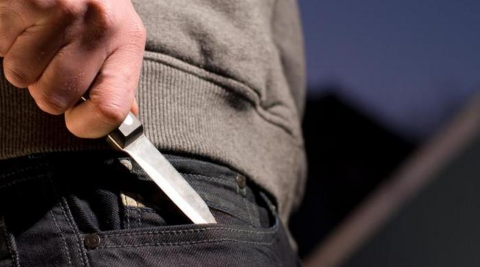 Girl and grandfather attacked in knife assault outside Los Angeles home