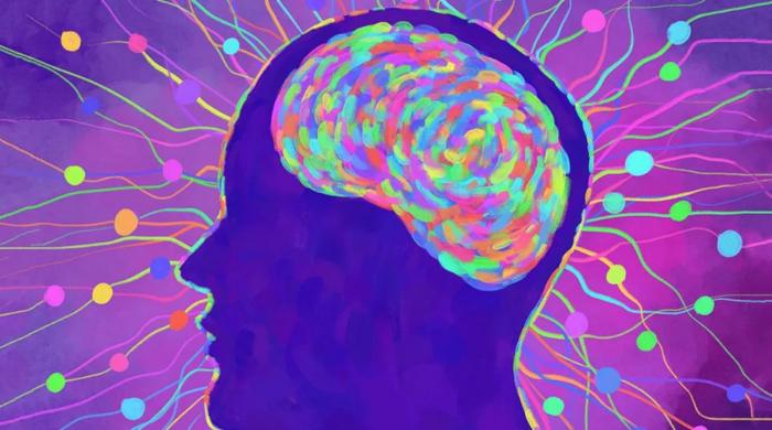 Humans may have 33 senses, not 5: New study challenges long-held science