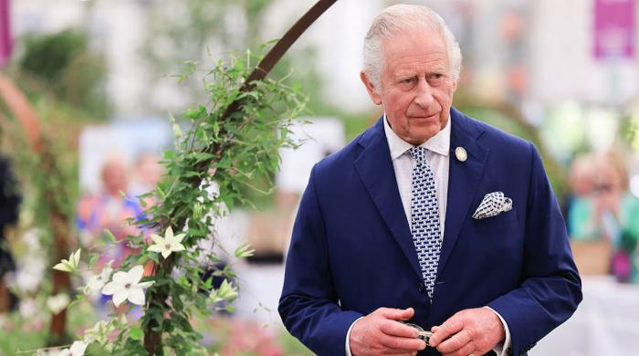 King Charles’ statement about Epstein carries a secret meaning: Here’s why it can be an invite to police