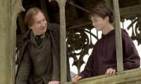 David Thewlis gets candid about Remus Lupin fans in 'Harry Potter'   