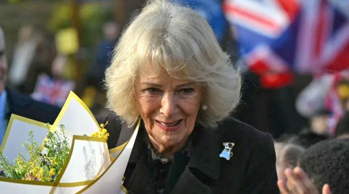 Palace spotlights Queen Camilla for her work with vision-impaired children a day after Andrew statement