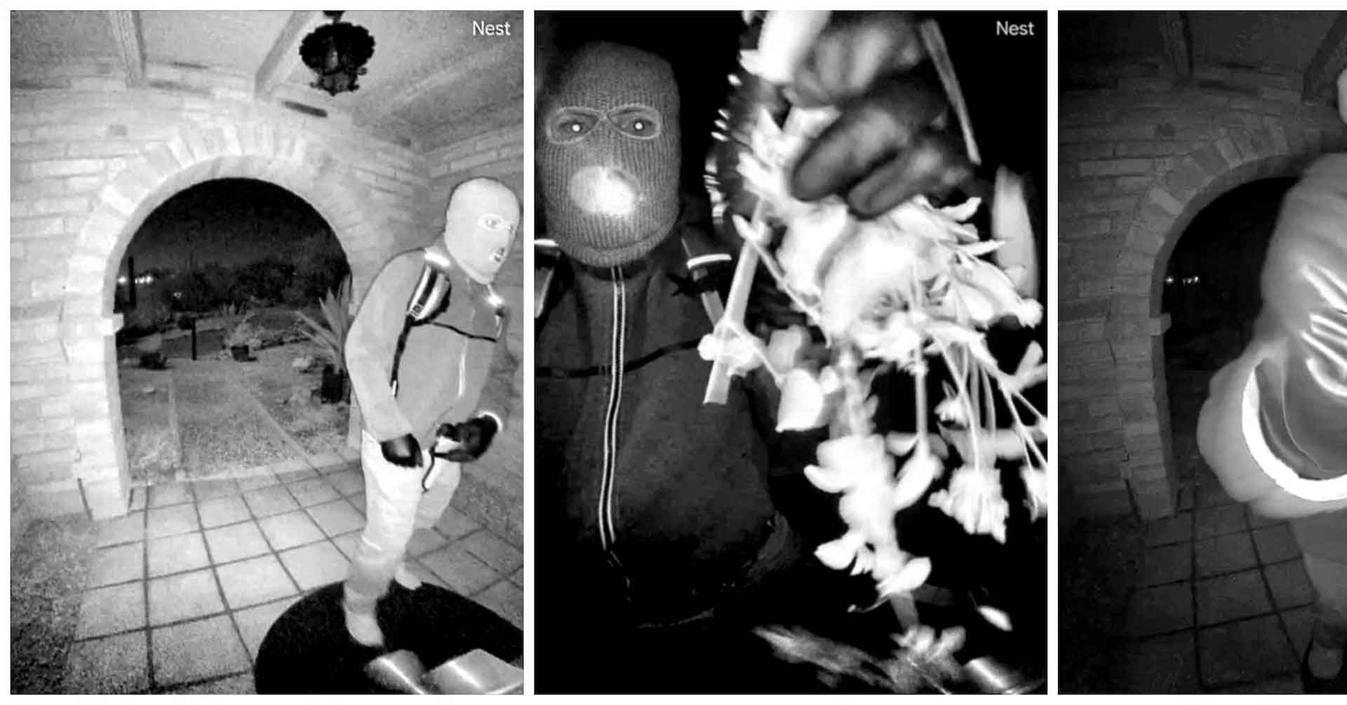 Nancy Guthrie political views, Baird Greene dominate discussions as operation yields no arrests