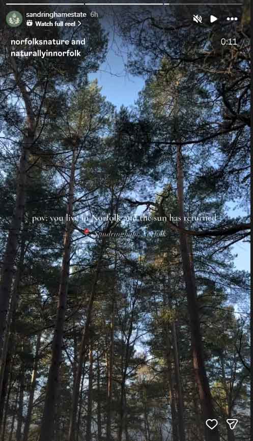 Sun shines on Andrew Mountbatten-Windsors new abode