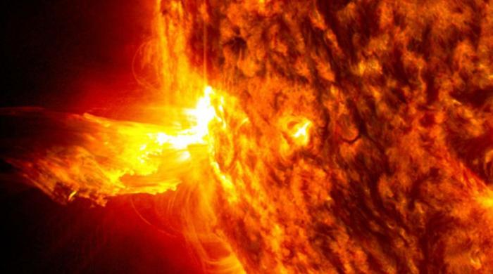 Sun appears spotless for first time in four years, scientists report