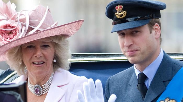 Prince William issues 'ultimatum' to Queen Camilla as monarchy is in 'delicate phase'