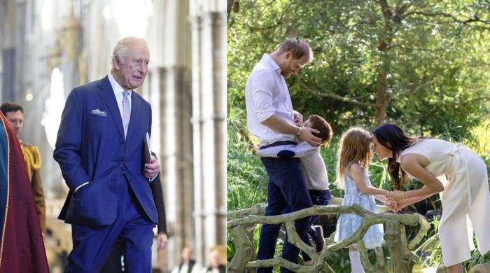 King Charles finally receives good news about reunion with Lilibet, Archie as Harry and Meghan reach agreement
