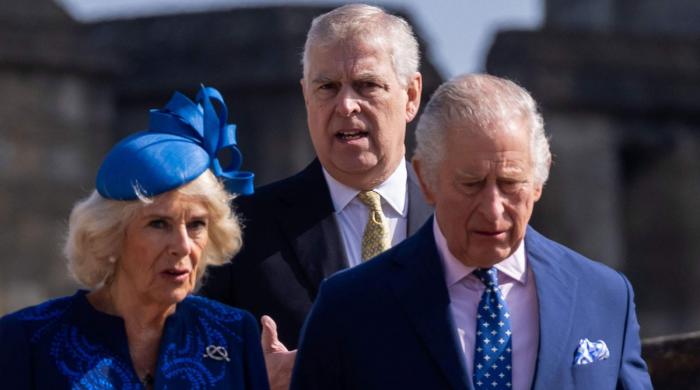 Queen Camilla meets Gisèle Pelicot, sends powerful message to victims as Andrew's scandal deepens   