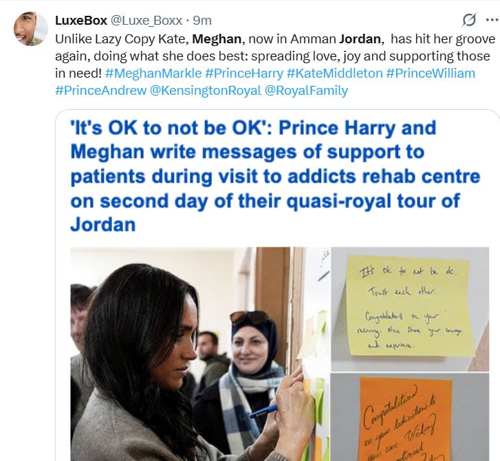 Harry, Meghan show Royal family how to make impact without public money