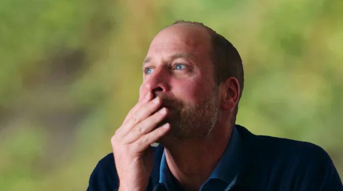 Prince William willing to walk road he ‘loathes’ for ‘horror show’ escape: ‘He’s running out of allies fast’