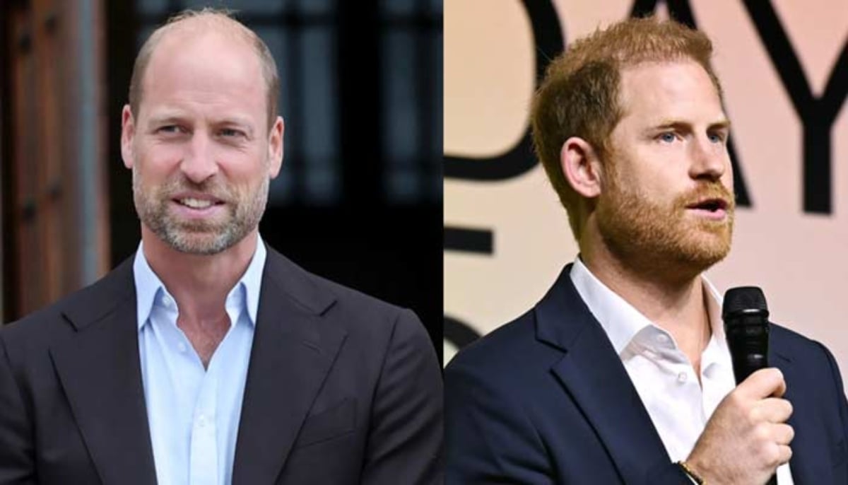 Prince Harry is lowest on Prince William ‘priority list’ amid crisis
