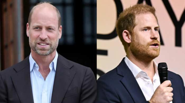 Prince Harry is lowest on Prince William ‘priority list’ amid crisis 