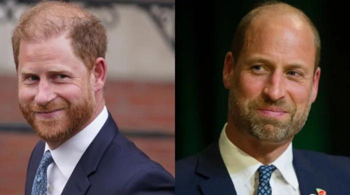 Prince William, Prince Harry future spilt by famous psychic 