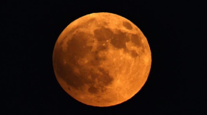 Is it a full moon tonight? NASA says blood moon will light up Canada