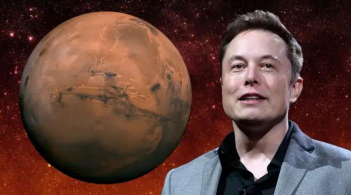 ‘Mouse Utopia’ collapse shows the need for space colonies, says Elon Musk