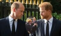 Prince Harry’s claims about Prince William fight get exposed: ‘The truth is different’