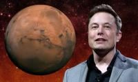 ‘Mouse Utopia’ collapse shows the need for space colonies, says Elon Musk
