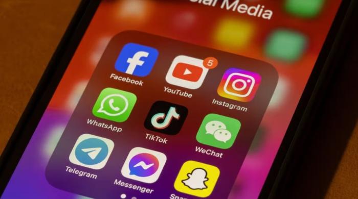 Social media ban: Virginia appeals injunction against social media screen time limit for children
