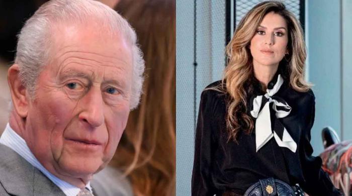 Eco-fashion designer Amanda Navaian sues King Charles charity 