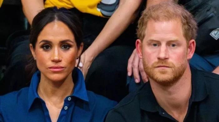 Prince Harry, Meghan Markle can no longer be ‘DIY Royals’