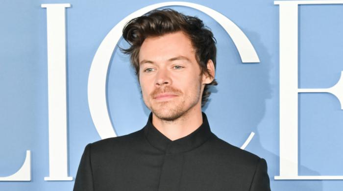 Harry Styles makes heartfelt confession to fans: 'Thank you for the warmth'