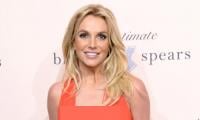 Britney Spears' family comes to her rescue as she navigates loneliness amid DUI arrest