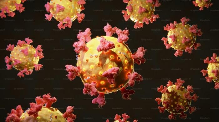 Scientists build AI tool to track tumor behaviour