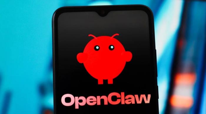 OpenClaw craze: China’s ‘raise a lobster’ AI trend pushes cloud stock up