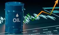 Oil prices spike amid Middle East conflict: How governments worldwide are responding