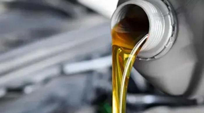 Oil crisis: Saudi cuts oil output as prices hit highest since 2022; G7 weighs stock release