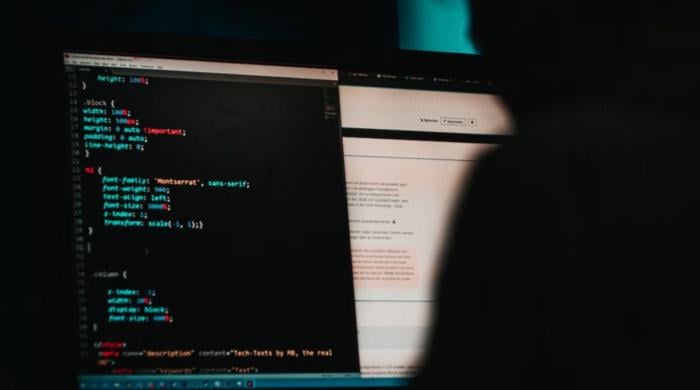 Cybercriminals use AI to access government systems