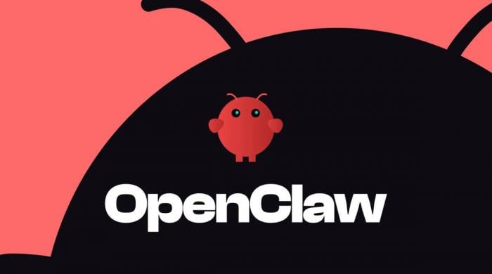 China bans OpenClaw AI use in banks and state agencies over security fears