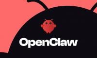 China bans OpenClaw AI use in banks and state agencies over security fears