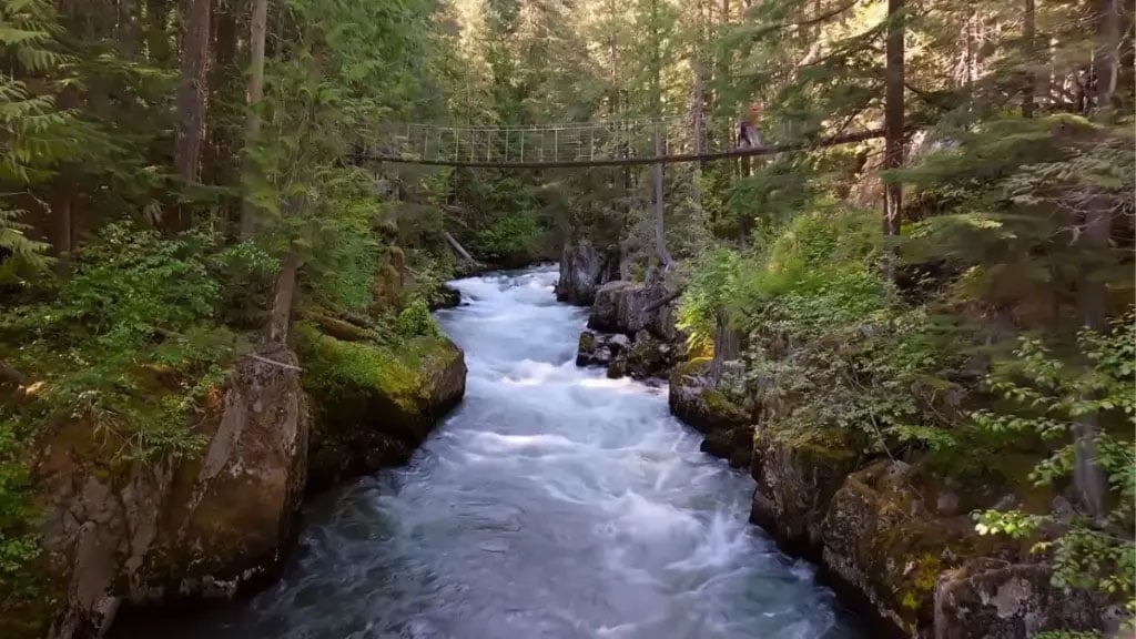 Where does Age of Attraction take place?