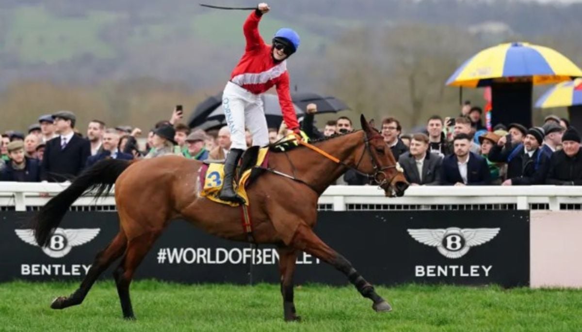 The Gold Cup horse race was set to be Envoi Allens last, with his owners as Cheveley Park Stud previously confirmed he would retire soon