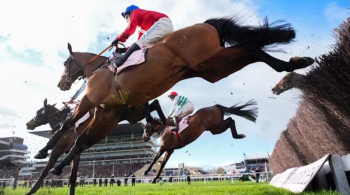 Tragic: Third horse dies at Cheltenham festival after Gold Cup race