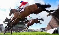 Tragic: Third horse dies at Cheltenham festival after Gold Cup race
