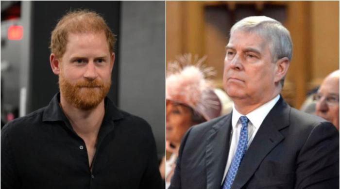 Why Prince Harry has been silent on Andrew Mountbatten-Windsor and Jeffrey Epstein?