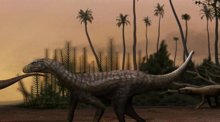 Brazil fossil of giant dinosaur reveals continents were connected 120 million years ago