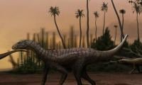 Brazil Fossil Of Giant Dinosaur Reveals Continents Were Connected 120 Million Years Ago