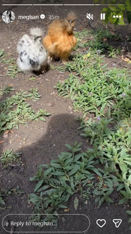 Meghan Markle celebrates spring with a rare glimpse into her life