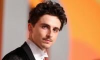 Timothee Chalamet Gets Made Fun Of At 2026 Oscars For Ballet, Opera Controversy
