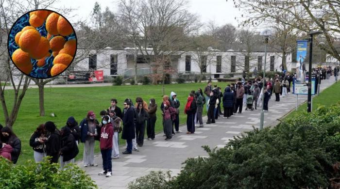 Deadly & less-targeted meningitis B confirmed as strain behind Kent outbreak 