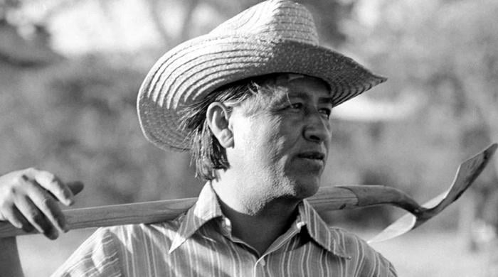 César Chávez faces shocking allegations: What are the accusations against him that could upend his legacy?