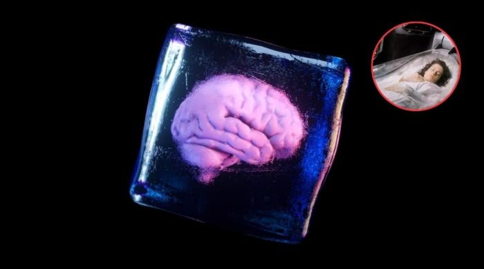 Mouse brain revival experiment sparks cryonics debate: Can humans be brought back to life?